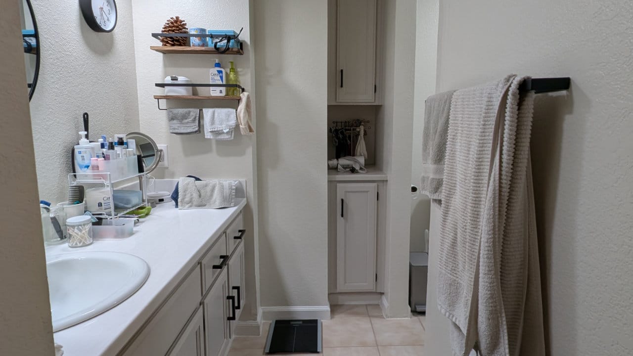 Primary Bathroom Painting